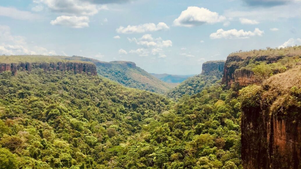 Conheça projeto de resort com cassino no Mato Grosso